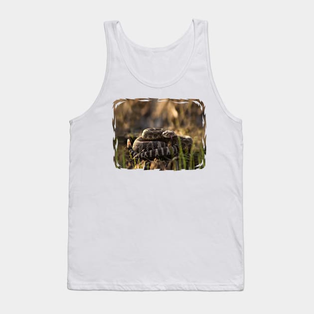 Rattlesnake Ready to Strike Tank Top by Lines